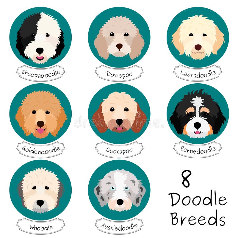 Doodle dogs face bundle