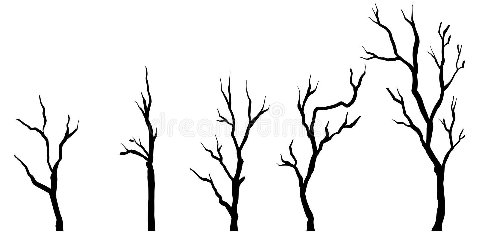 Tree Drawing png download - 1600*1600 - Free Transparent Final