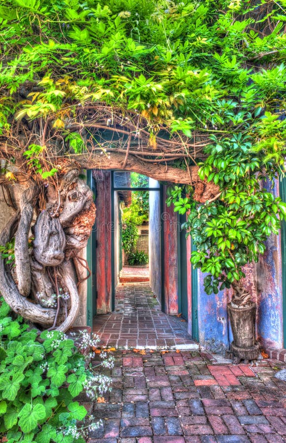 Doorway. royalty free stock image Doorway. royalty free stock image