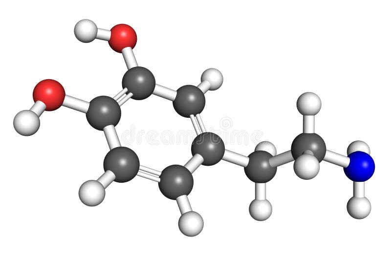 Dopamine is a hormone/neurotransmitter with a variety of functions, most notably reward-driven learning and developing addictive behaviour. Atoms are colored according to convention (hydrogen-white, carbon-gray, nitrogen-blue, oxygen-red). Oxygen molecule blue illustrations