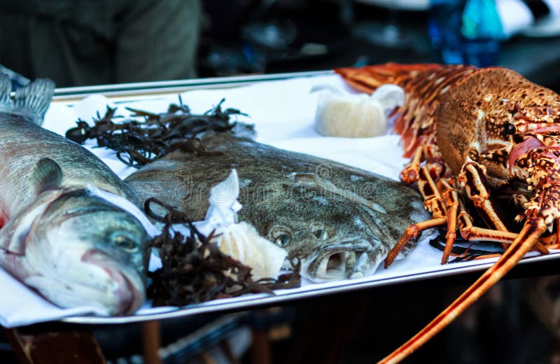 Dorade, passera di mare ed aragosta freschi su un vassoio immagini stock Dorade, passera di mare ed aragosta freschi su un vassoio immagini stock