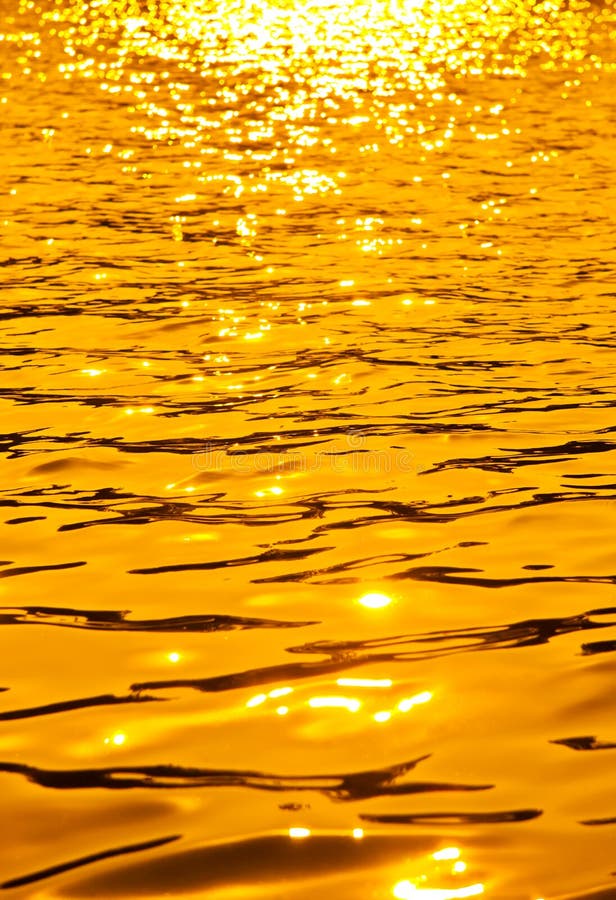 dorado el zdjęcie stock dorado el zdjęcie stock