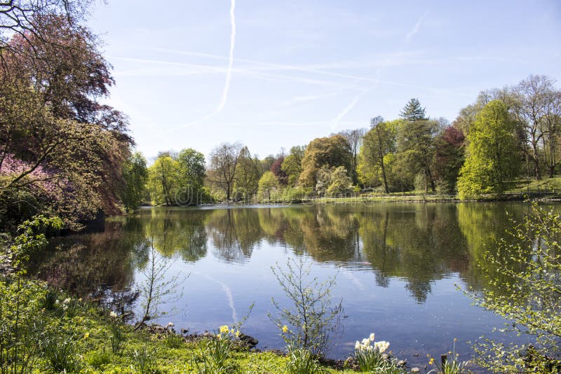 Dortmund Citys Romberg Park jezioro w Północnym Rhine Westphalia wiosny pogodnym czasie obrazy stock Dortmund Citys Romberg Park jezioro w Północnym Rhine Westphalia wiosny pogodnym czasie obrazy stock
