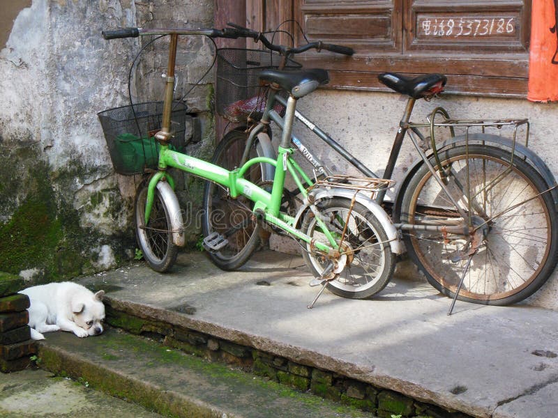 Dos bicicletas parqueadas y un perro blanco imágenes de archivo libres de regalías Dos bicicletas parqueadas y un perro blanco imágenes de archivo libres de regalías