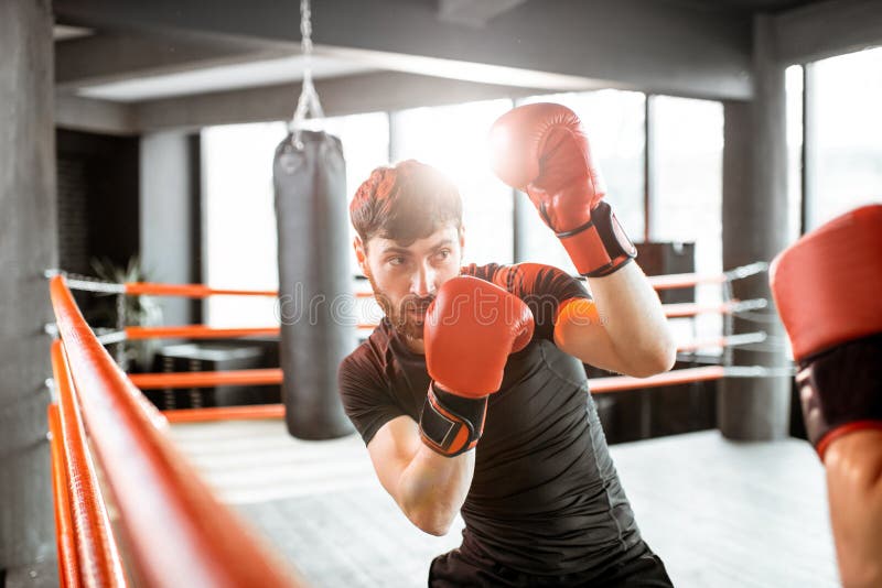 Dos boxeadores profesionales que luchan en el gimnasio imágenes de archivo libres de regalías Dos boxeadores profesionales que luchan en el gimnasio imágenes de archivo libres de regalías