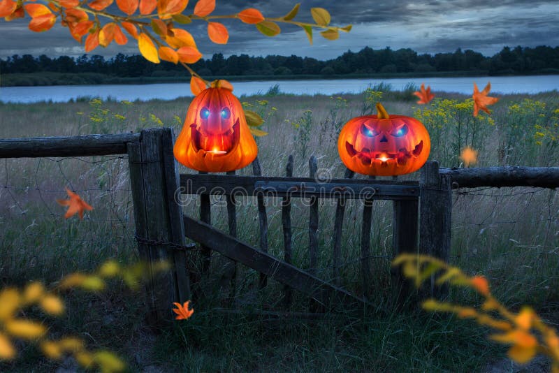 Dos calabazas anaranjadas malvado de risa con brillar intensamente observan en la cerca de madera en la noche fotografía de archivo Dos calabazas anaranjadas malvado de risa con brillar intensamente observan en la cerca de madera en la noche fotografía de archivo