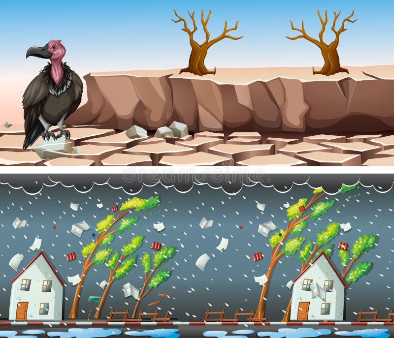 Dos Escenas Con Sequía Y El Temporal De Lluvia Ilustración del Vector -  Ilustración de tierra, arte: 83965339