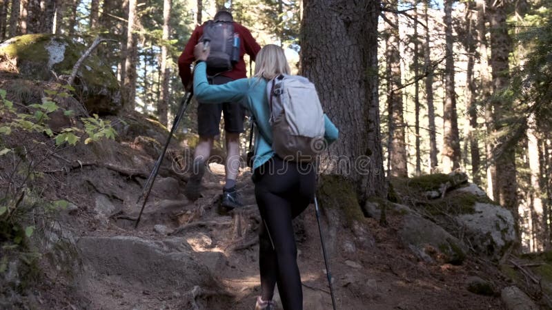 Dos excursionistas con mochila haciendo senderismo en la montaña Vista posterior almacen de video