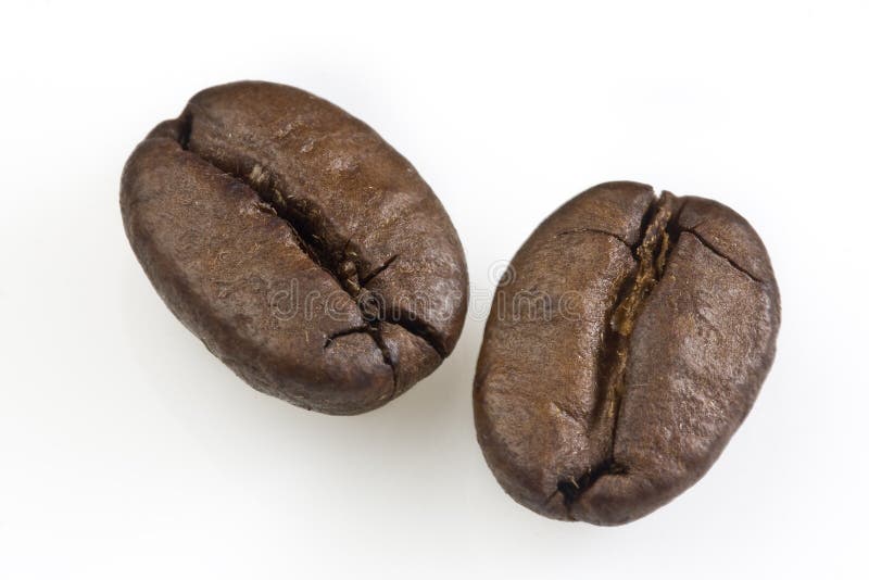 Dos granos de café fotografía de archivo libre de regalías Dos granos de café fotografía de archivo libre de regalías