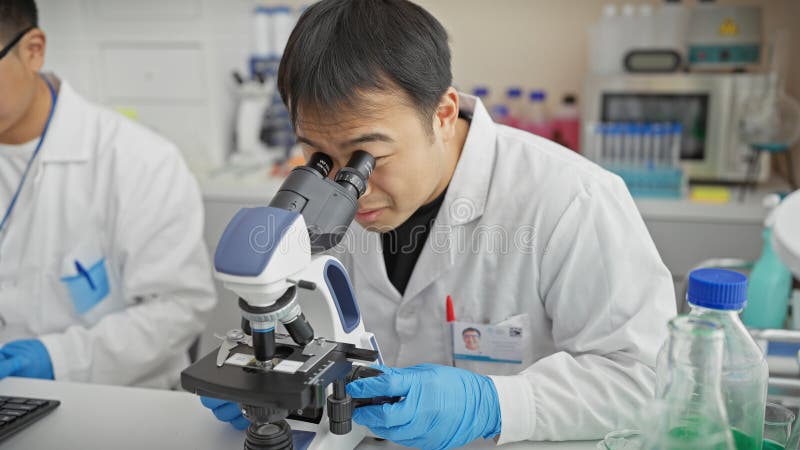 Dos hombres en cobardes de laboratorio examinan muestras con un microscopio en un laboratorio científico fotografía de archivo libre de regalías