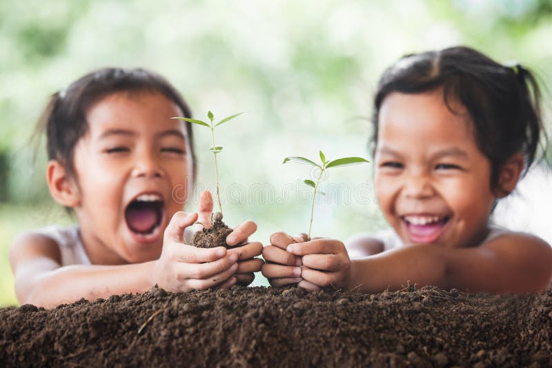 Dos muchachas asiáticas lindas del niño que plantan el árbol joven en suelo negro fotos de archivo libres de regalías Dos muchachas asiáticas lindas del niño que plantan el árbol joven en suelo negro fotos de archivo libres de regalías