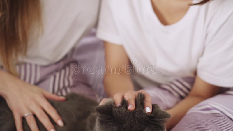 Dos mujeres jóvenes juegan con un gato en la cama en casa.