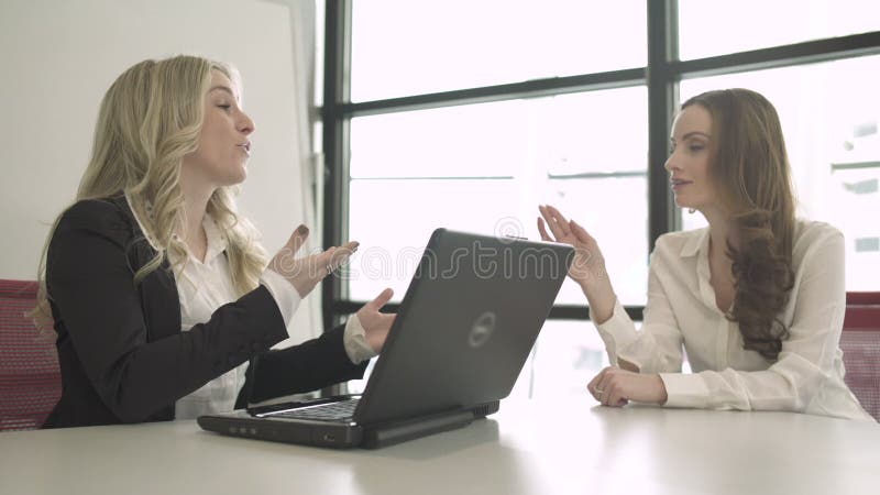 Dos mujeres profesionales en una reunión (5 de 5) almacen de video