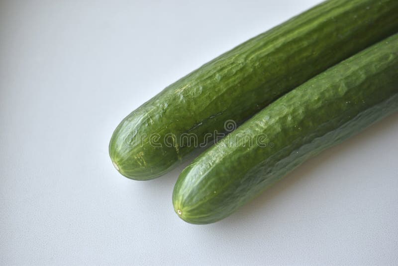 Two green long cucumbers on a white background. Two green long cucumbers on a white background
