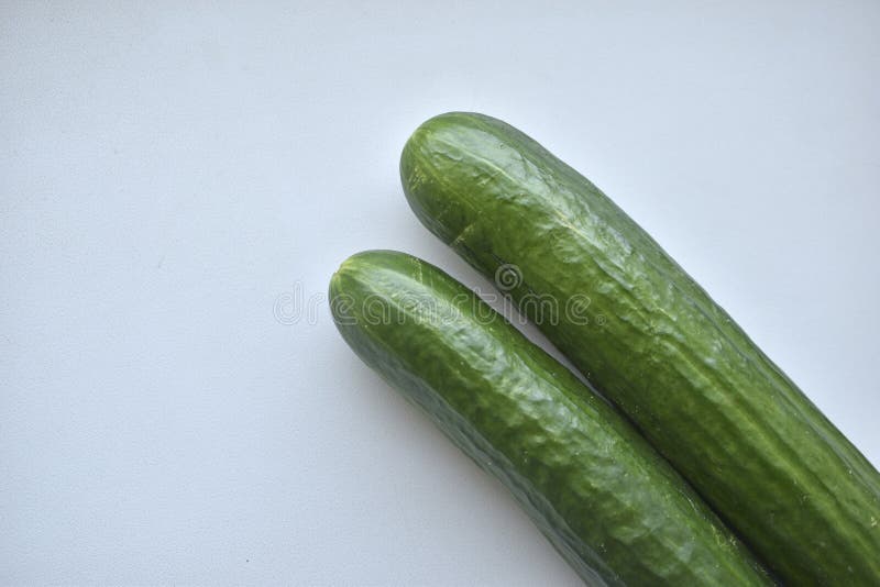 Two green long cucumbers on a white background. Two green long cucumbers on a white background