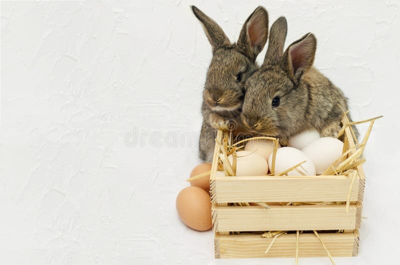 Dos pequeños conejitos de pascua lindos con la caja de madera llena de huevos imagen de archivo libre de regalías Dos pequeños conejitos de pascua lindos con la caja de madera llena de huevos imagen de archivo libre de regalías