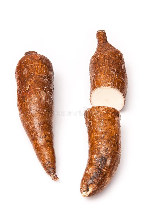 Dos raíces de Yuca foto de archivo. Imagen de piel, corte - 44309400 Dos raíces de Yuca foto de archivo. Imagen de piel, corte - 44309400
