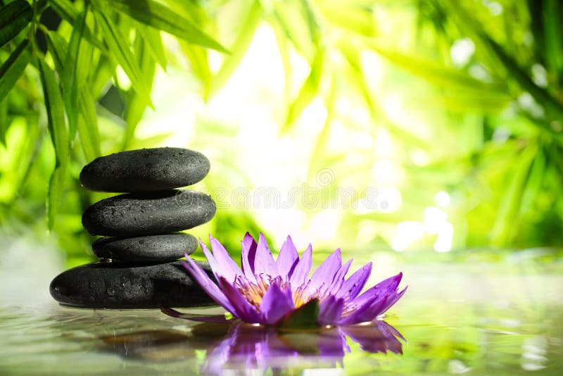 Dos termas vida ainda com a pedra dos lótus e do zen na água imagem de stock royalty free Dos termas vida ainda com a pedra dos lótus e do zen na água imagem de stock royalty free