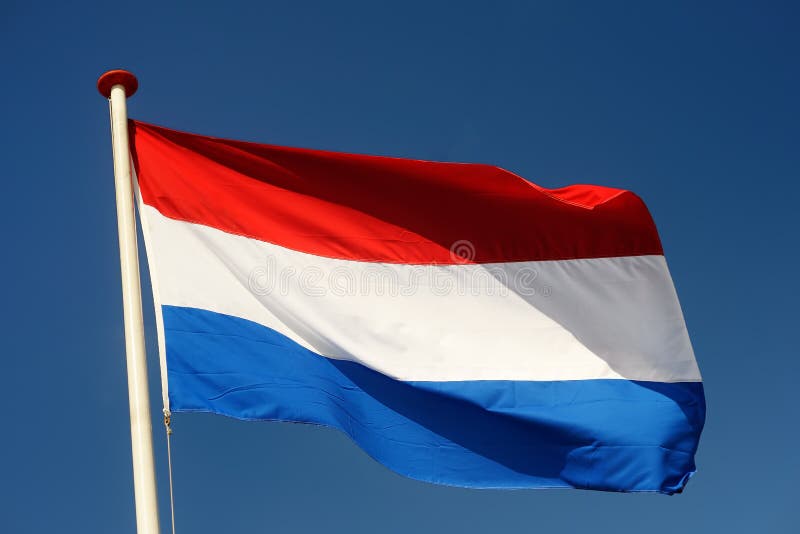 dostępne szklanych bandery niderlandów styl wektora