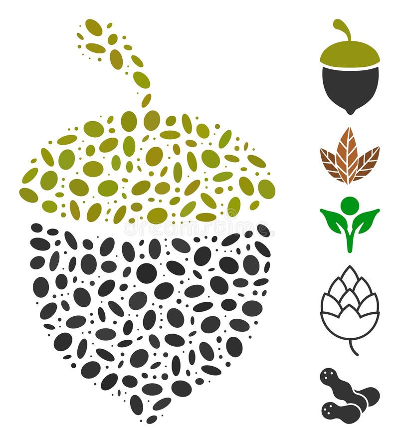 Line Mosaic Oak Acorn Icon vector illustration