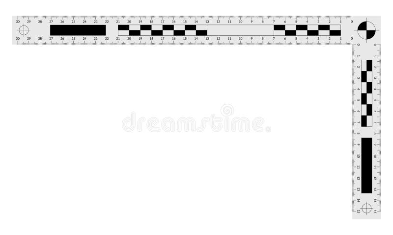 double angled forensic ruler stock vector illustration of clipart measure 160436750