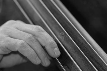 169 Ebony Solo Stock Photos - Free & Royalty-Free Stock Photos from