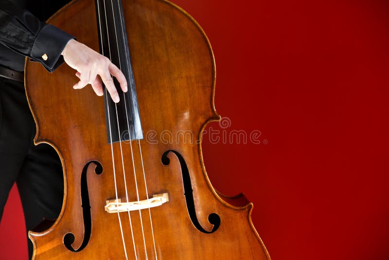 Double bass stock photo. Image of background, wood, musician 159327600