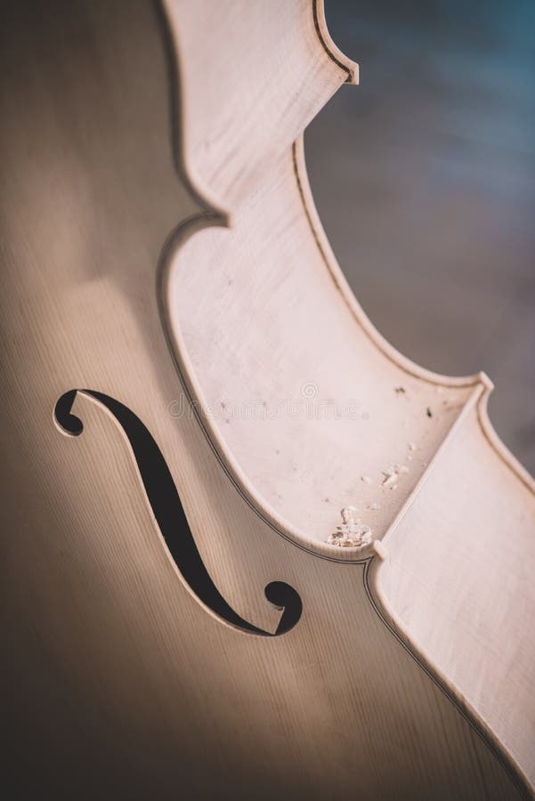 Double bass in unvarnished construction stock image Double bass in unvarnished construction stock image