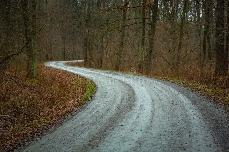 Double Bend on the Gravel Road in the Forest Stock Photo Image of