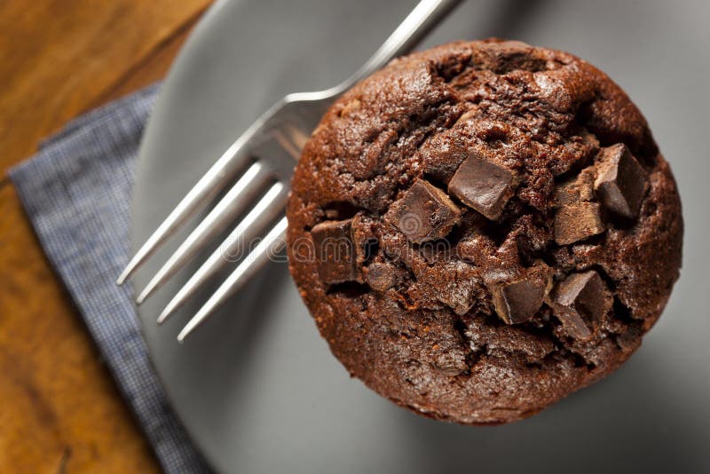 Double Chocolate Chip Muffin royalty free stock photos Double Chocolate Chip Muffin royalty free stock photos