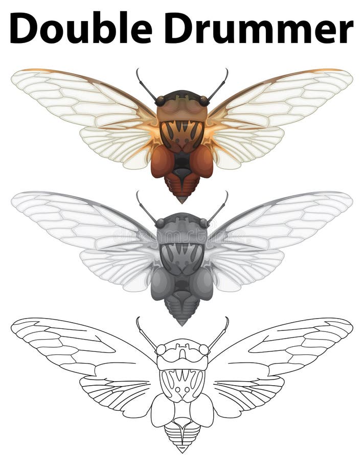 Drummer Stock Illustrations – 7,754 Drummer Stock Illustrations