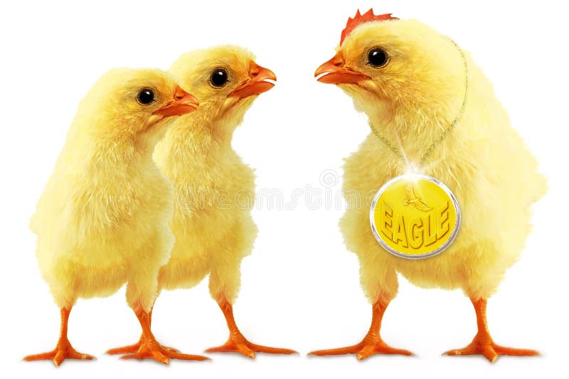 Double eagle royalty free stock photography