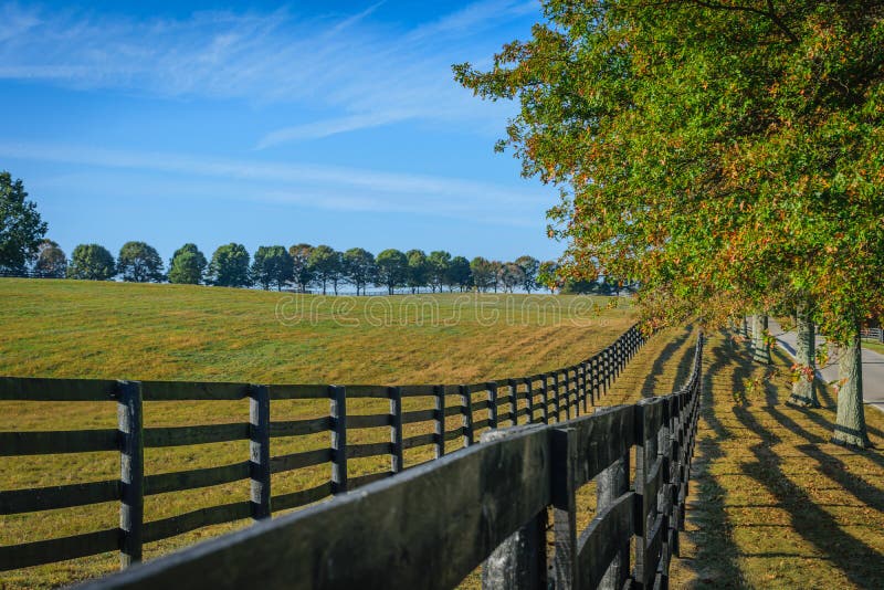 Double fenced horse pasture