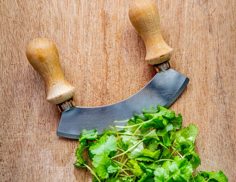 Green Coriander Leaves and Chopper on a Wooden Cutting Board Stock Image -  Image of bunch, chopping: 172190589