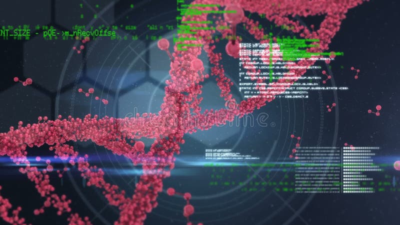 Double hélice d'ADN et codes numériques illustration libre de droits