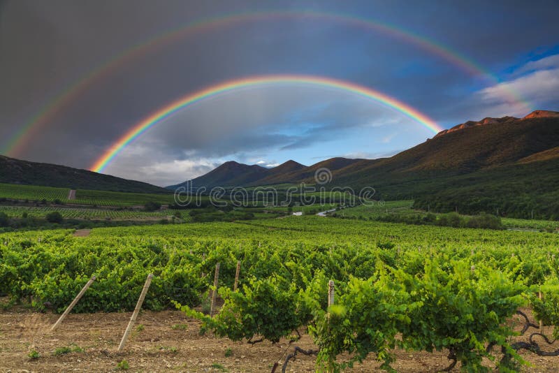 Double rainbows over a vineyard in France