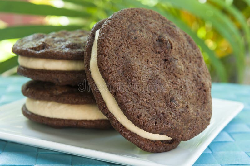 Sandwich Glacé Double Chocolat Pépites de Beurre de Cacahuète photos stock