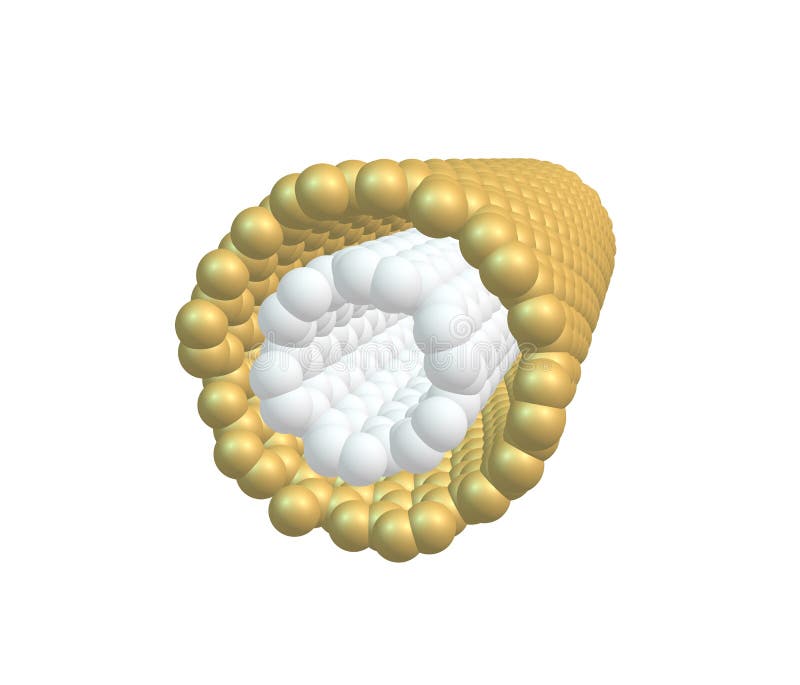 Double-walled carbon nanotube (DWNT) on white stock illustration