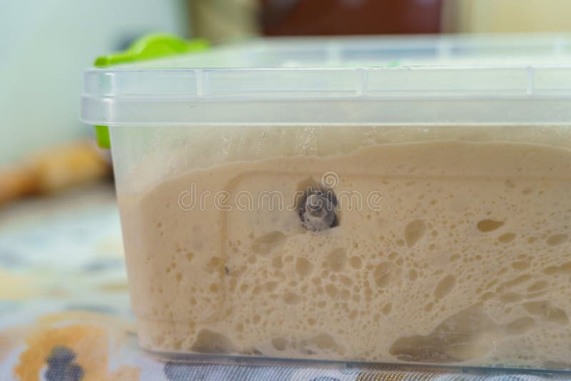 Dough for Italian Bread Ciabatta. Home Baked Bread Stock Photo Image