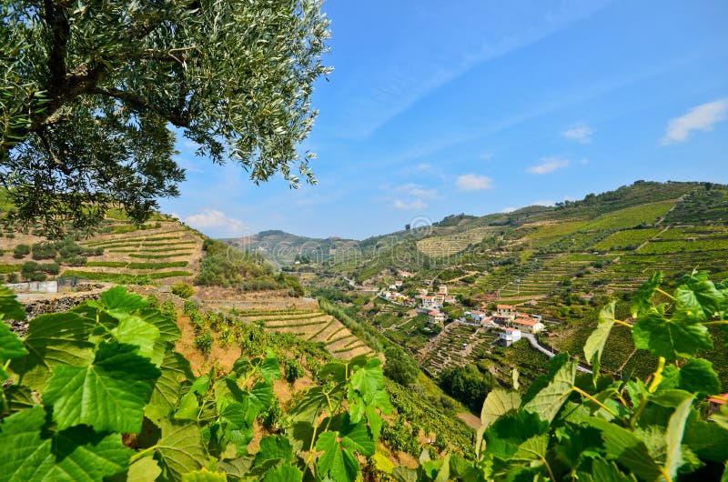 Dourovallei: Wijngaarden en klein dorp dichtbij Peso DA Regua, Portugal royalty-vrije stock fotografie Dourovallei: Wijngaarden en klein dorp dichtbij Peso DA Regua, Portugal royalty-vrije stock fotografie