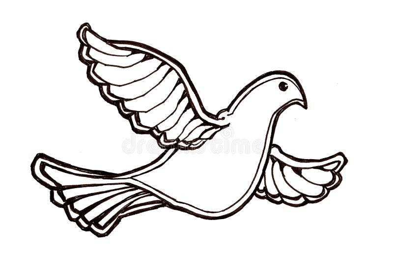 Dove in flight.