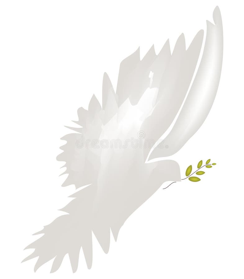 Dove of Peace vector