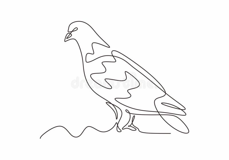 Premium Vector | Pigeon sketch drawing in one continuous line, vector,  isolated