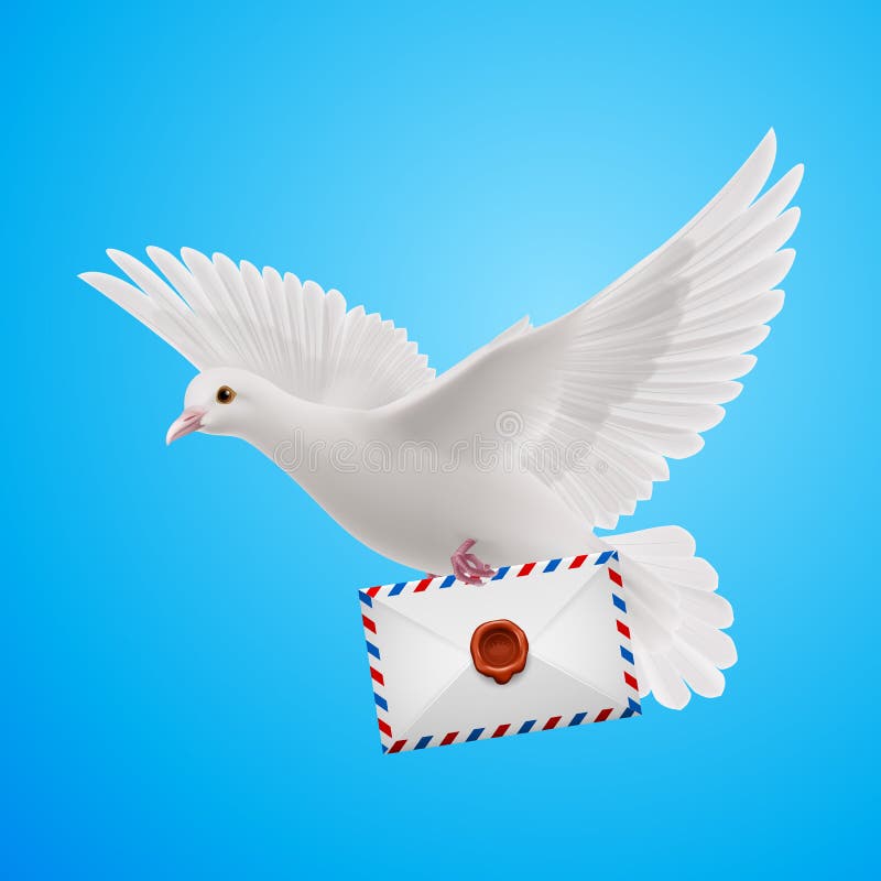 Dove white royalty free illustration Dove white royalty free illustration