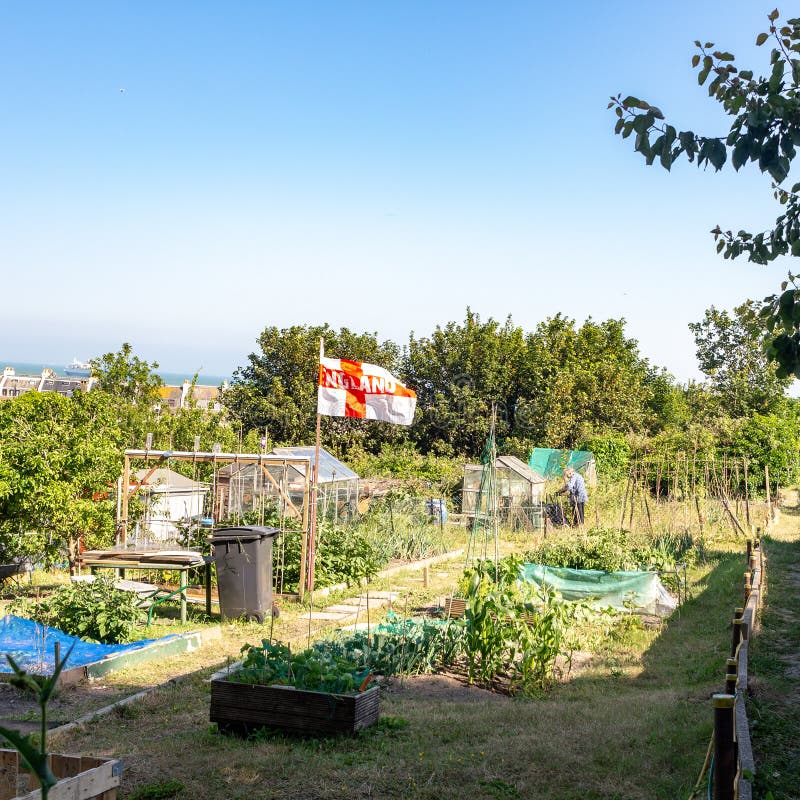 DOVER UK †”Juni 30, 2018: England flagga i grönsakträdgård i sen sommar Örtblommor och grönsaker i den formella trädgården fotografering för bildbyråer DOVER UK †”Juni 30, 2018: England flagga i grönsakträdgård i sen sommar Örtblommor och grönsaker i den formella trädgården fotografering för bildbyråer
