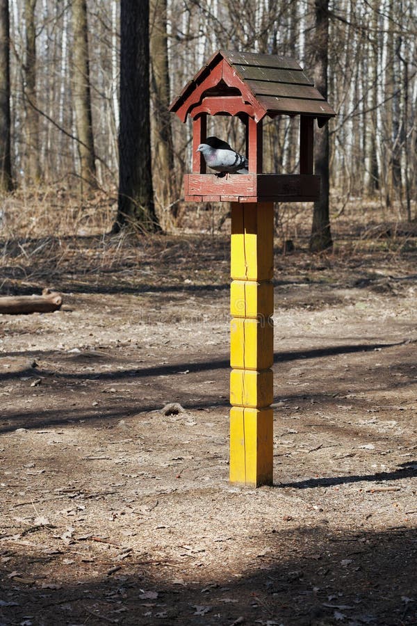 Doves in bird feeder stock image. Image of autumn, scenery 40138117