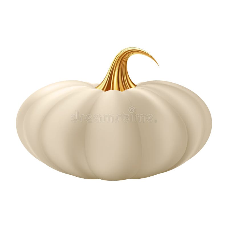 Dovleac realist 3d. dovleac alb crem cu tijă aurie. vector illustration