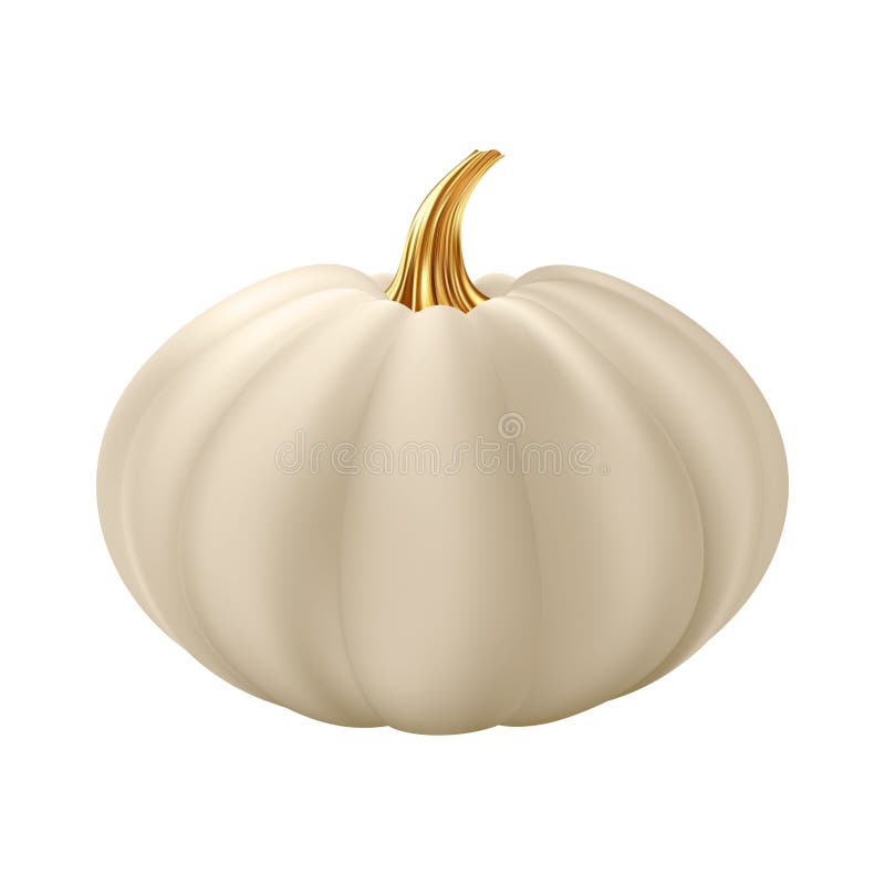 Dovleac realist 3d. dovleac alb crem cu tijă aurie. royalty free illustration
