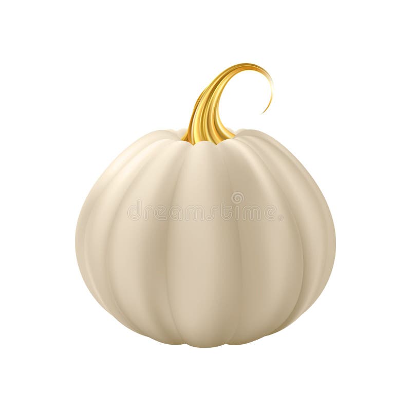 Dovleac realist 3d. dovleac alb crem cu tijă aurie. stock illustration
