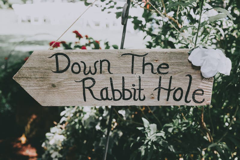 Down the rabbit hole sign